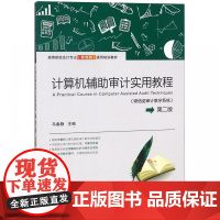 计算机辅助审计实用教程(鼎信诺审计教学系统第2版高等院校