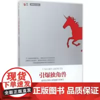 引爆独角兽(如何让你的公司估值10亿美元)/创新型企业系