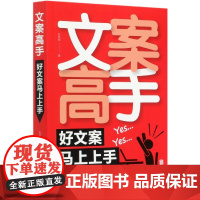 文案高手(好文案马上上手)