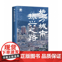 地方城市振兴之路(世界新农丛书)