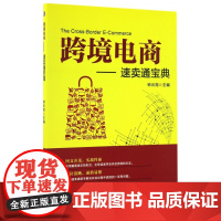 跨境电商--速卖通宝典