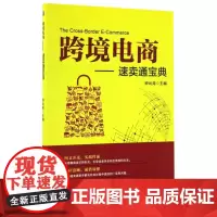 跨境电商--速卖通宝典