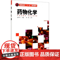 药物化学(高职高专十一五规划教材)