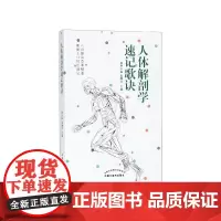 人体解剖学速记歌诀