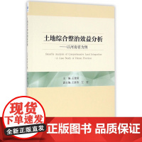 土地综合整治效益分析--以河南省为例