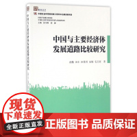 中国与主要经济体发展道路比较研究/智库丛书