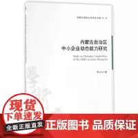 内蒙古自治区中小企业动态能力研究/内蒙古财经大学学术文库
