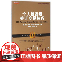 个人投资者外汇交易技巧