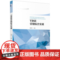 VBSE营销综合训练教程