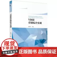 VBSE营销综合训练教程