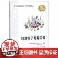 跨境电子商务实务(高等学校跨境电子商务专业十三五课改规划