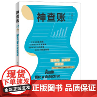 神查账