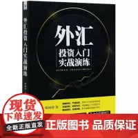 外汇投资入门实战演练