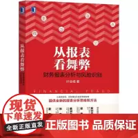 从报表看舞弊(财务报表分析与风险识别)