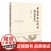 中国农业现代化路径选择研究