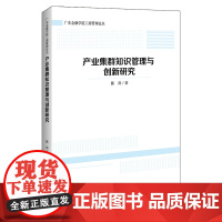 产业集群知识管理与创新研究