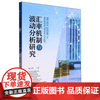 汇率机制波动分析研究