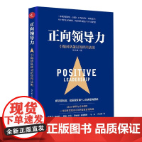 正向领导力(引爆团队能量的管理法则)
