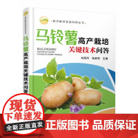 马铃薯高产栽培关键技术问答/科学种菜致富问答丛书