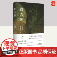 野菩萨 黎紫书 短篇小说精选集 全新短篇《海》 马来西亚小说 外国小说 正版书籍 北京十月文艺出版社