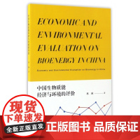 中国生物质能经济与环境的评价