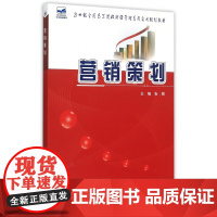 营销策划(21世纪全国高等院校财经管理系列实用规划教材)