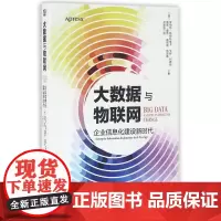 大数据与物联网(企业信息化建设新时代)