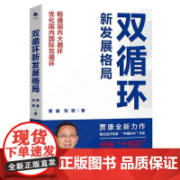 双循环新发展格局