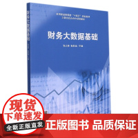 (教)财务大数据基础