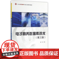 电子商务数据库技术(第3版21世纪电子商务专业核心课程系