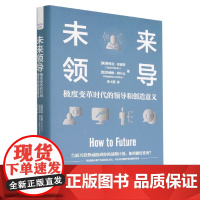 未来领导:极度变革时代的领导和创造意义