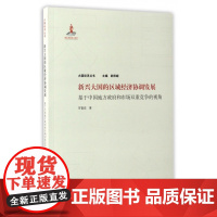 新兴大国的区域经济协调发展(基于中国地方政府和市场双重竞