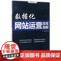 数据化网站运营深度剖析/互联网营销系列丛书