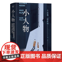 小人物 江苏凤凰文艺出版社