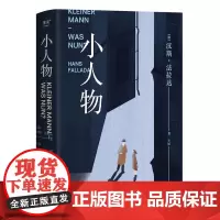 小人物 江苏凤凰文艺出版社