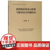 我国农村劳动力转移与粮食安全问题研究