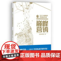 巅峰营销(2013中国电商营销案例年鉴)