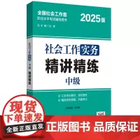 社会工作实务(中级)精讲精练