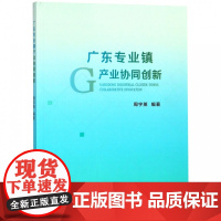 广东专业镇产业协同创新