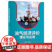 油气经济评价理论与应用