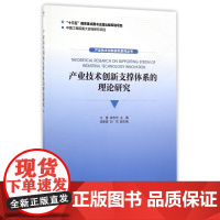 产业技术创新支撑体系的理论研究/产业技术创新研究系列丛书