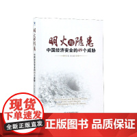 明火与隐患(中国经济安全的49个威胁)
