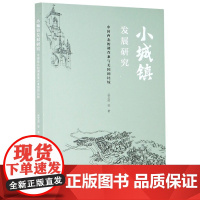 小城镇发展研究(中国西北的调查兼与美国的比较)