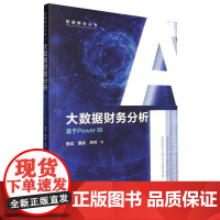大数据财务分析——基于Power BI(智能财会丛书)