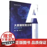 大数据财务分析——基于Power BI(智能财会丛书)