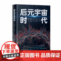 《后元宇宙时代》元宇宙时代则或许可以利用计算机向大脑发出