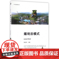 嬉戏谷模式/MTA经典案例丛书