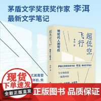 超低空飞行 同时代人的写作 茅盾文学奖获奖作家李洱文学笔记 专业的鉴赏自我与他者与世界一起在场 现代文学随笔鉴赏正版