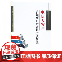 电信大客户营销项目的治理方式研究