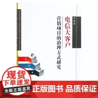 电信大客户营销项目的治理方式研究